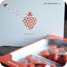 soratobuichigo